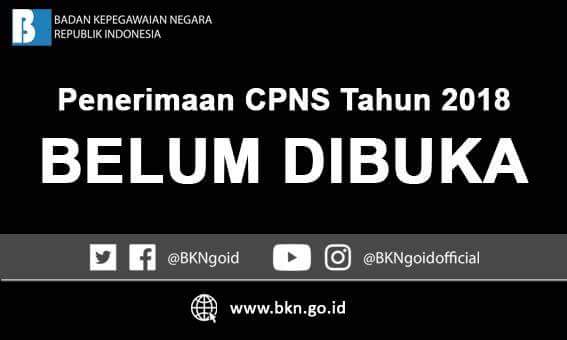 Rekrutmen CPNS Tahun 2018 Belum Dibuka, Humas BKN Viral